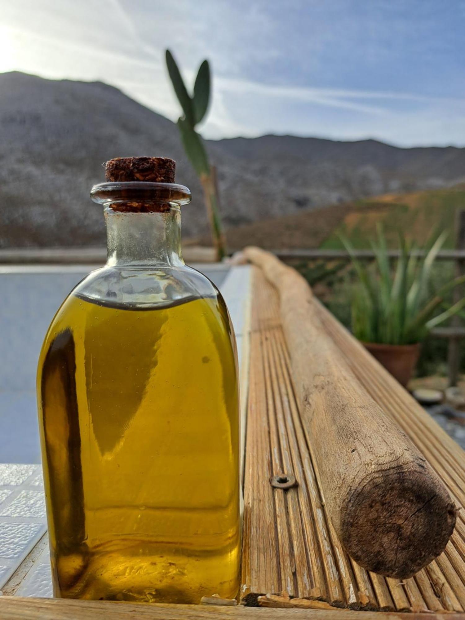 בית הארחה Paránimfoi 	Wooden House At The Mountain-Private מראה חיצוני תמונה