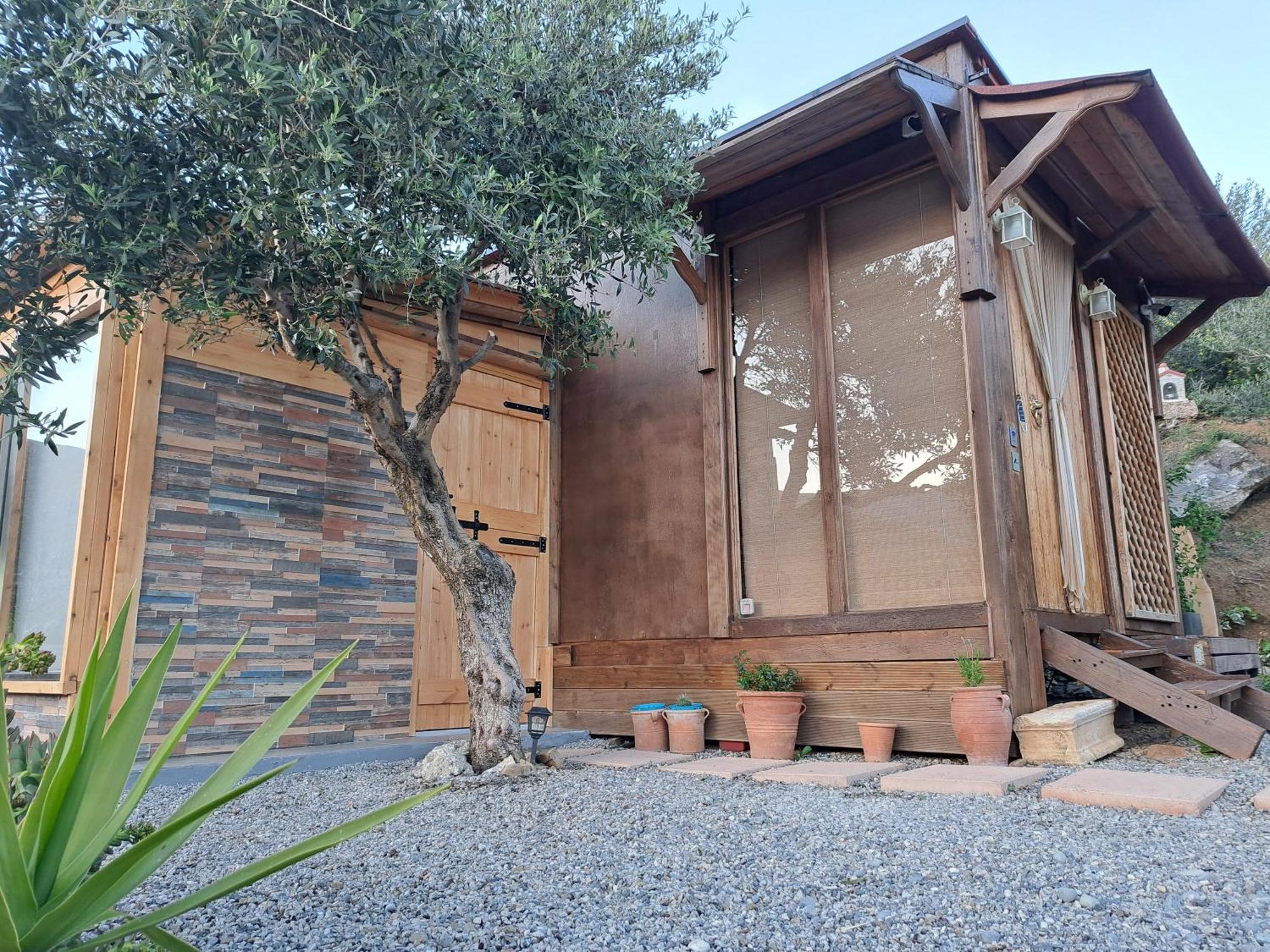 בית הארחה Paránimfoi 	Wooden House At The Mountain-Private מראה חיצוני תמונה