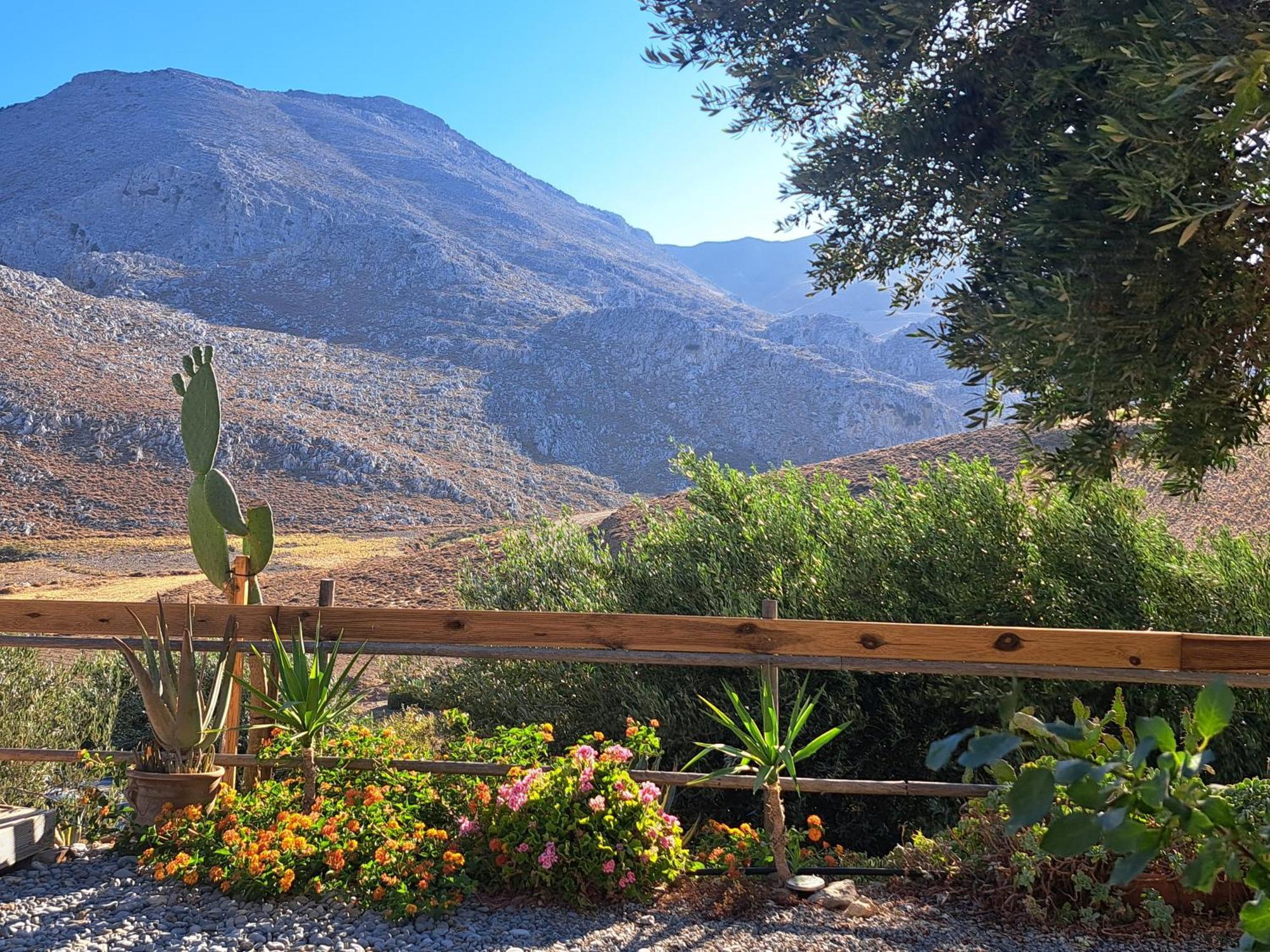 בית הארחה Paránimfoi 	Wooden House At The Mountain-Private מראה חיצוני תמונה